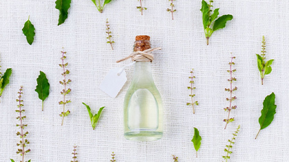 インストラクター