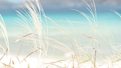 ショルダーラインリラックス検定