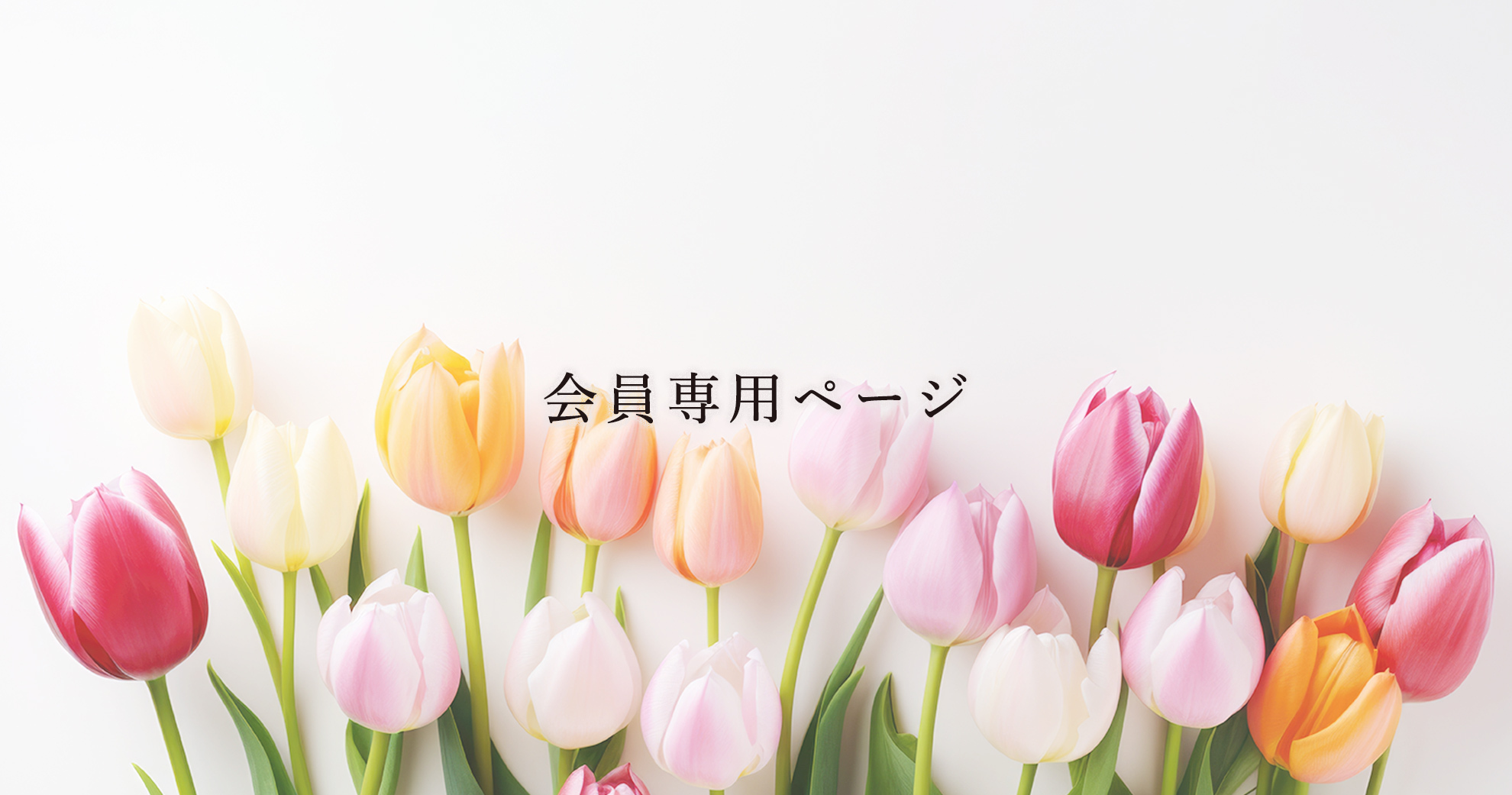 JAA会員専用ページ