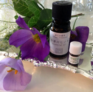 Cerisier ｽﾘｼﾞｪ