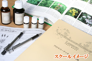 bonheur　～ﾎﾞﾇｰﾙ～