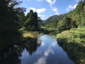 アロマと食の自然の学び舎　セレネ　ホリスティックコミューン