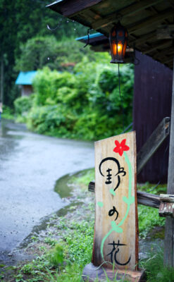 美山陽だまりアロマ亭 野の花