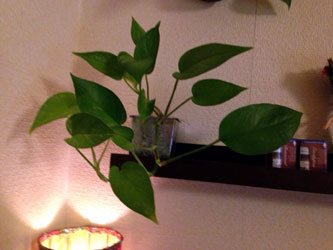 アロマsalon ChoKotto
