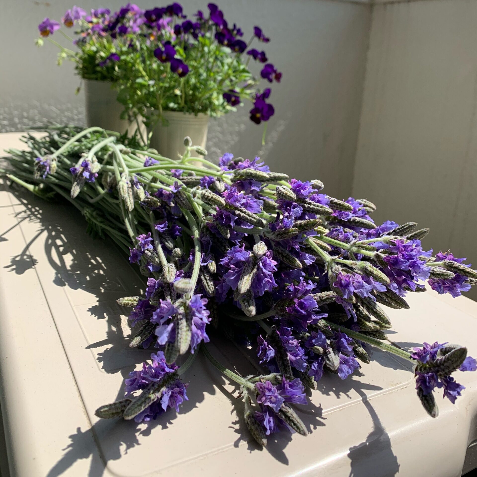 陽だまりGarden ～タイ式ヨガwithハーブボール＆アロマセラピースクール～