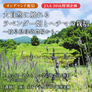 大自然に触れる ラベンダー畑とヘチマ栽培